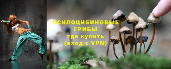 МДПВ Вязники