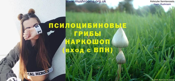 MDMA Premium VHQ Вяземский