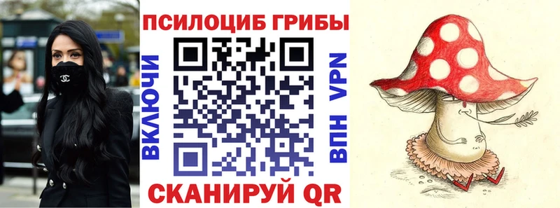 Купить где  Нижний Новгород  Псилоцибиновые грибы Magic Shrooms 